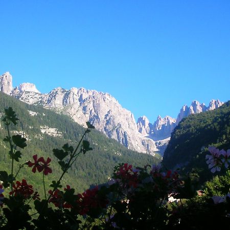 Garni Lago Alpino 몰베노 외부 사진