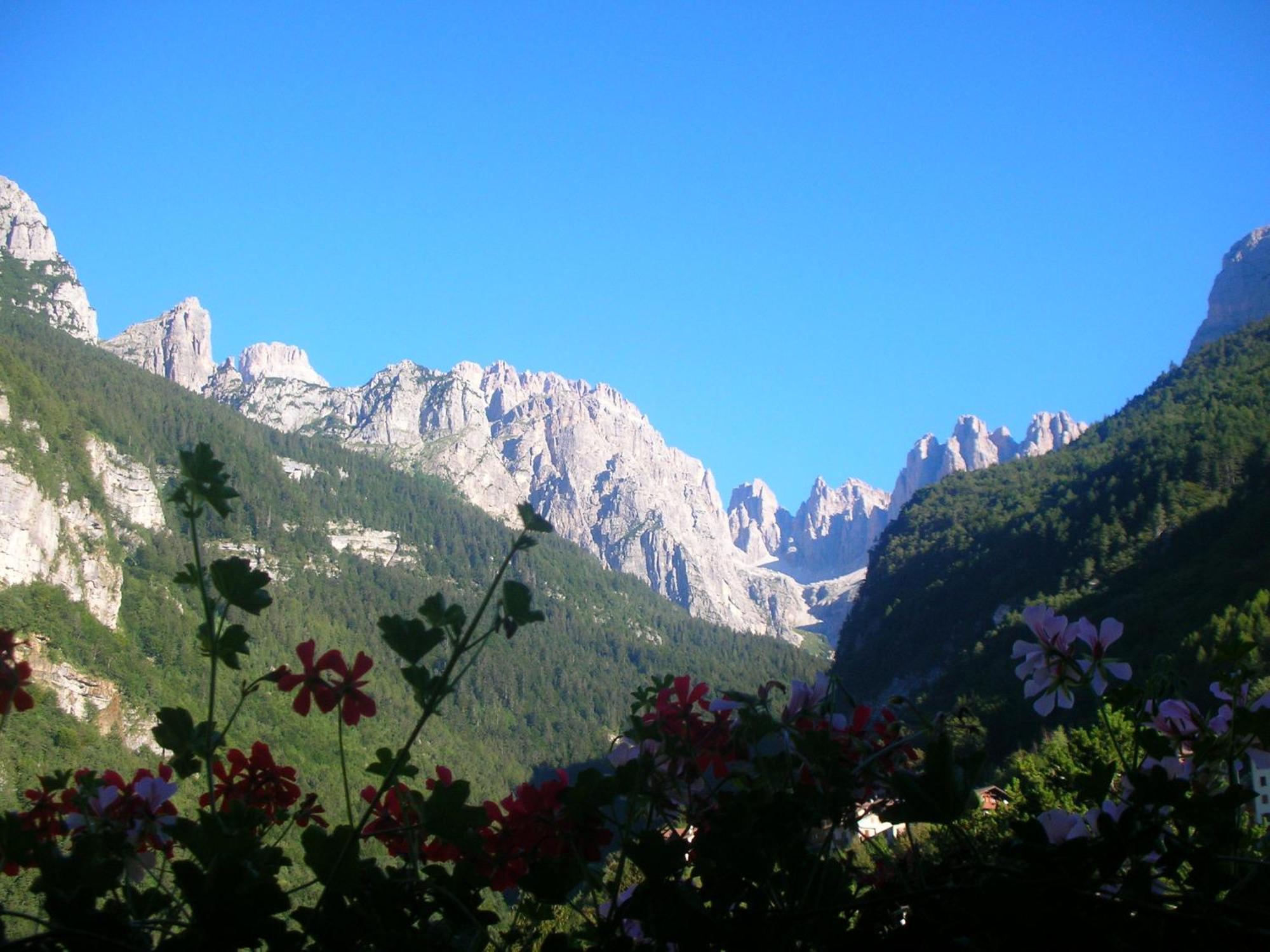 Garni Lago Alpino 몰베노 외부 사진